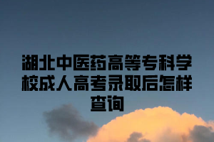 湖北中医药高等专科学校成人高考录取后怎样查询