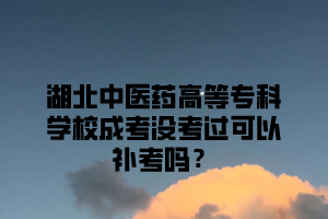 湖北中医药高等专科学校成考没考过可以补考吗？